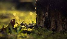 所有让你变好的选择，过程都不会很舒服