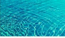 15个简单却惊人的社会定律