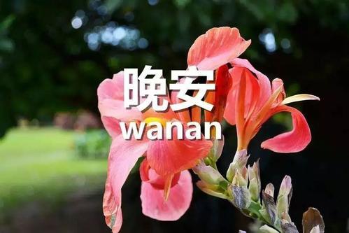 关于祝福朋友的话