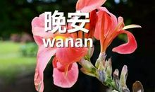 关于祝福朋友的话语