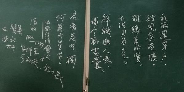 赵志新：萤火虫