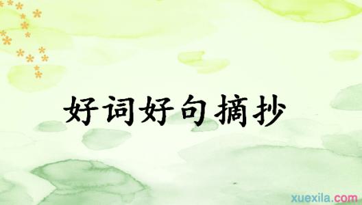 好话和好段落摘录