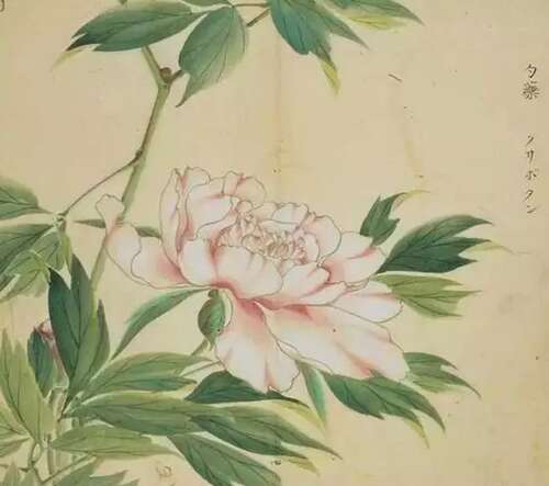 诗经：薄熙