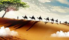 像骆驼那样跋涉，寻找你的生命绿洲