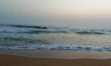 诗经：鹑之奔奔