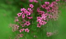 没有退路，就是最好的出路