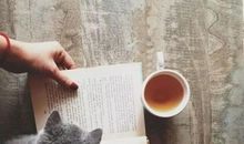 看不惯的事越少，证明你进步越大