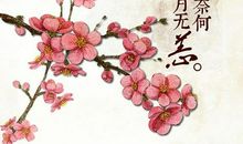 经典语录：你若不伤，岁月无恙