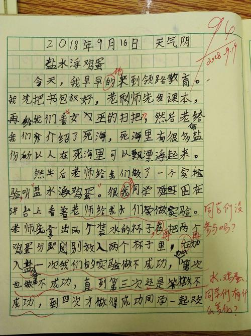 盐水浮蛋组成