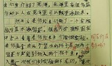 盐水浮鸡蛋作文