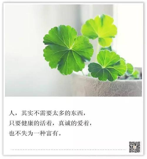 握不住时再读一遍