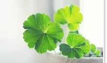 当你扛不住的时候就读一遍