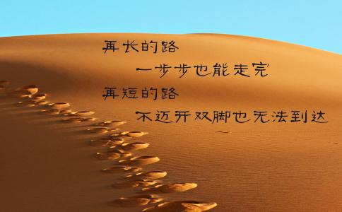 描述沙漠的名言