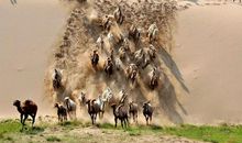 催人泪下，为之震撼的三个真实故事