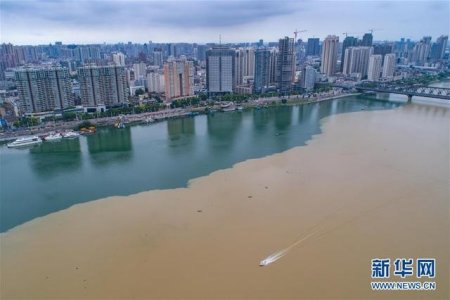 经纬一句话
