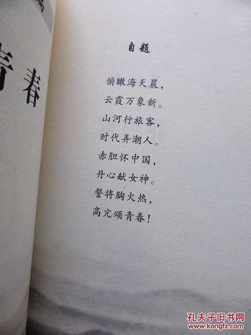 青年诗