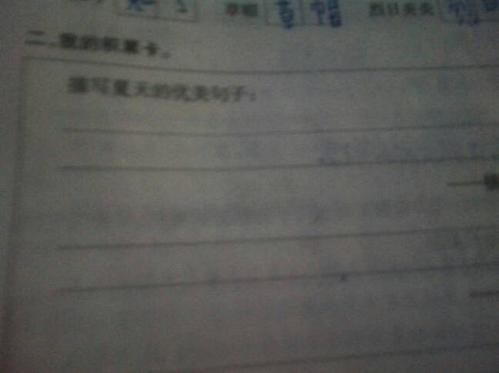 描写夏天的英语句子