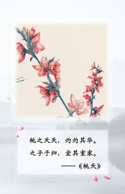 诗经：陶瑶