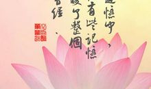 写关于荷花的语句