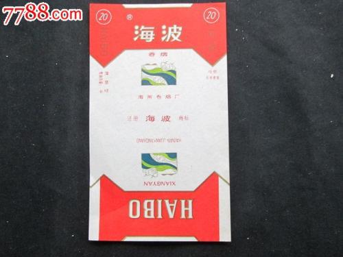读海博的《私人老师》