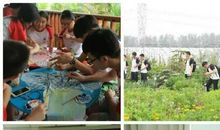 我的中国梦演讲稿小学篇