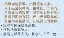 描写秋天的现代诗