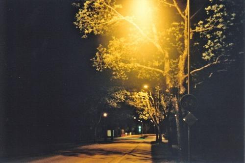 生命的句子
