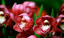 心烦时，记住这三句话