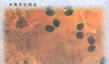 罗兰作品_罗兰散文集