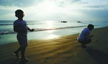 杨朔:投进生活的深处