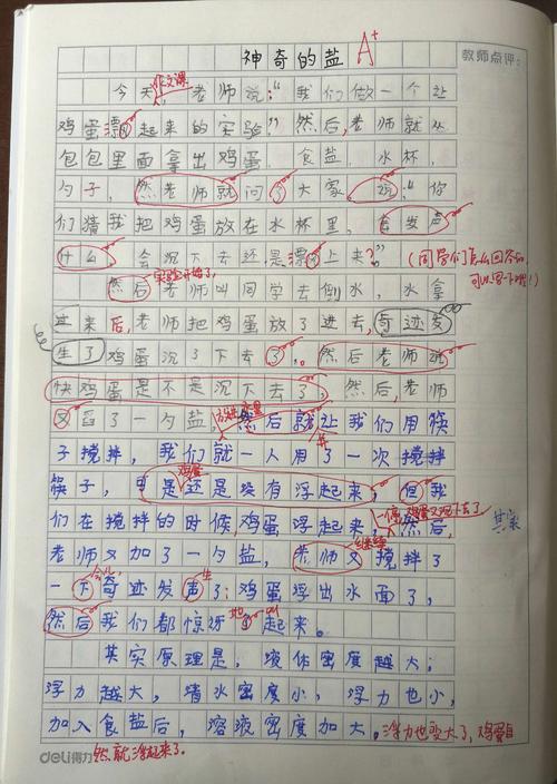 浮蛋组成
