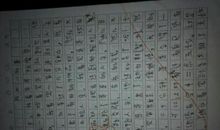 有趣的活动作文