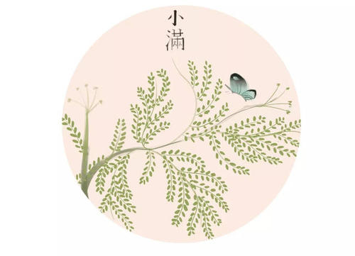 戴敏：初夏访问张远