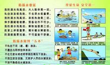 开讲啦海清演讲稿:人生路,我们都是新手