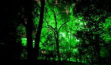 罗兰：夜阑人静