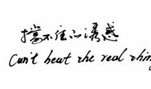 二十世纪最经典广告语集锦