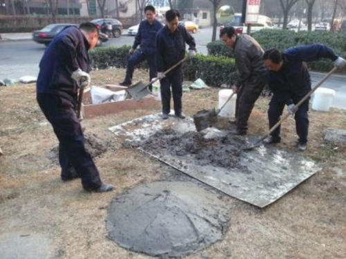用句子组织