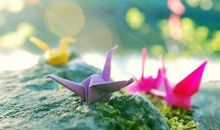 在别人看不见的地方自律，成功离你更近