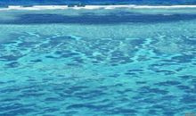 形容关于开心的句子英语 表达心情的英文句子