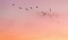 让媳妇儿开心的句子 媳妇生气了怎么哄开心