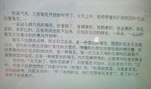 描写菊花样子的段落