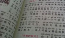 描写自信的好词好句