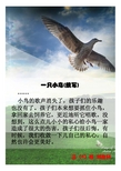 一只小鸟继续