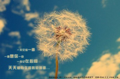 泰戈尔情诗