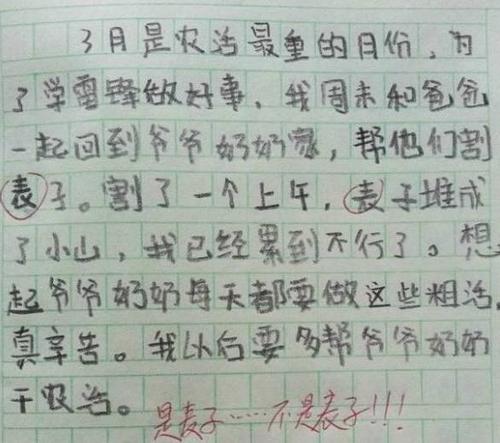 我是一个小老师