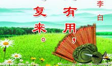 有关于书的名言