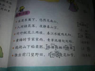 描述竹笋的好句子和段落