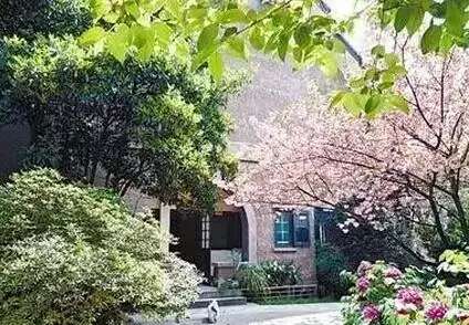 巴金：宁静的花园
