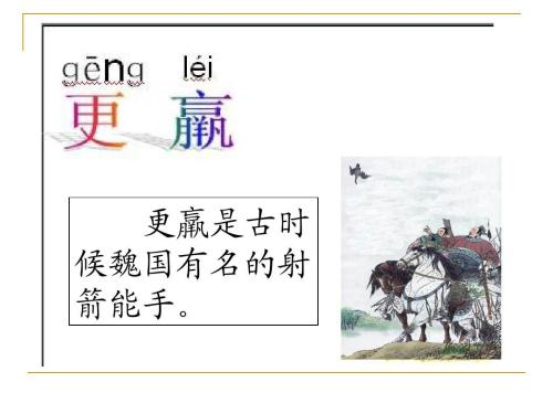 受惊的鸟