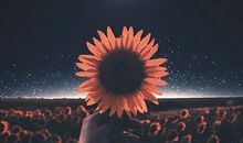 形容很无奈的句子